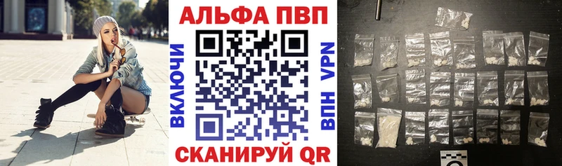 A PVP СК КРИС  Обь 